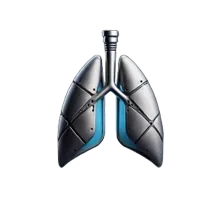 MAXIMUS